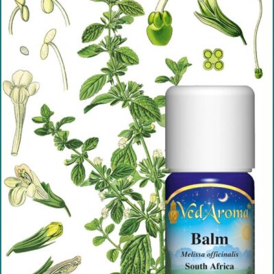 Balzsam illóolaj (1 ml)