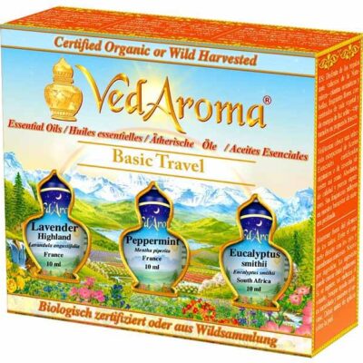 Basic Travel Kit