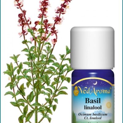 Bazsalikom-linalool illóolaj
