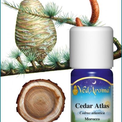 Cédrus atlasz illóolaj