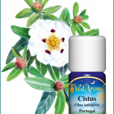 Cistus illóolaj