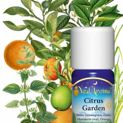 Citrus Garden – Illóolajok keveréke