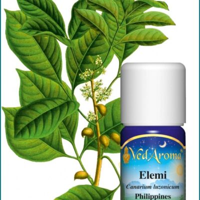 Elemi illóolaj