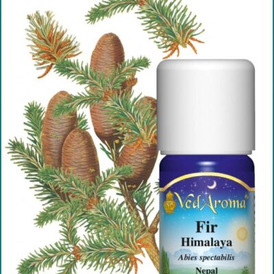 Himalája fenyő illóolaj