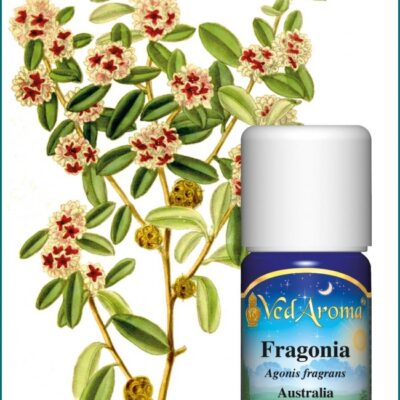 Fragonia illóolaj