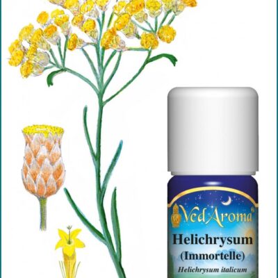 Helichrysum Illóolaj