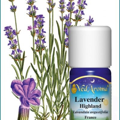 Levendula Highland illóolaj (10 ml)