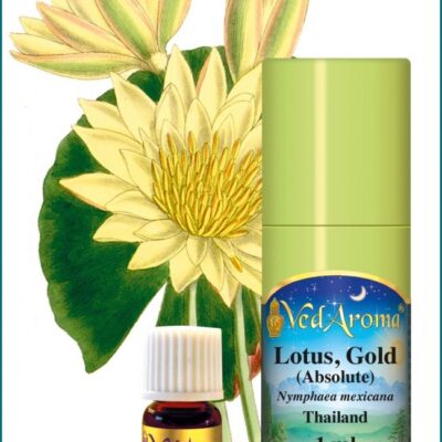 Lotus Gold