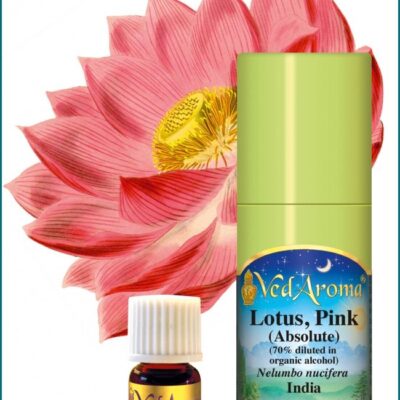 Lotus Pink