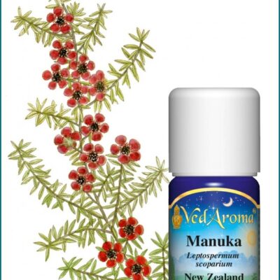 Manuka illóolaj