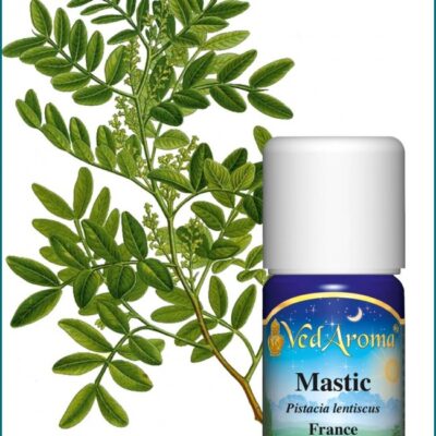 Mastic illóolaj