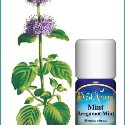 bergamott menta illóolaj