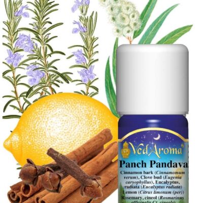 Panch Pandava