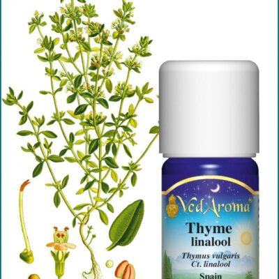 Kakukkfű linalool