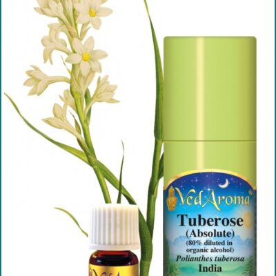 Tuberóz