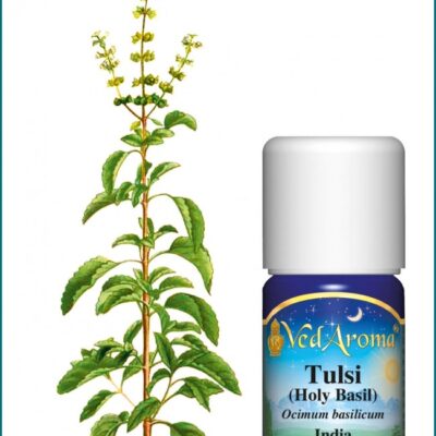Tulsi