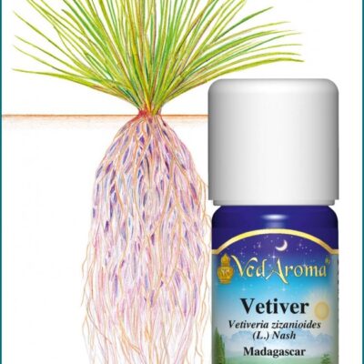 Vetiver illóolaj (10 ml)