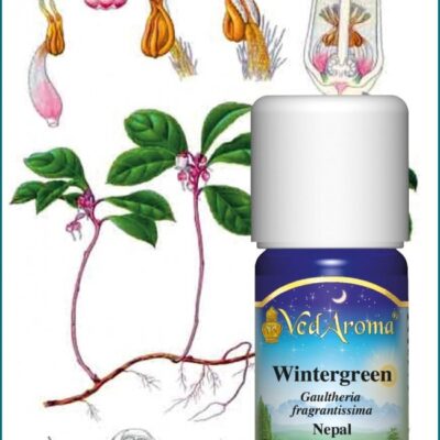 Wintergreen illóolaj