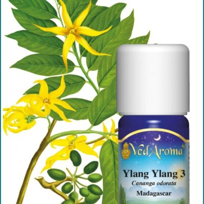 Ylang Ylang